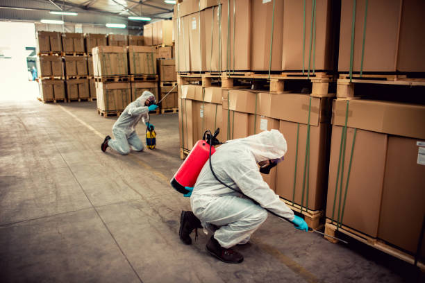 Best Pest Removal Services  in Andusia, AL