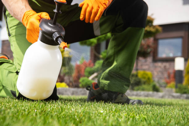 Wildlife Control Services in Andalusia, AL