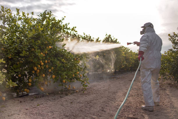 Best Emergency Pest Control  in Andusia, AL