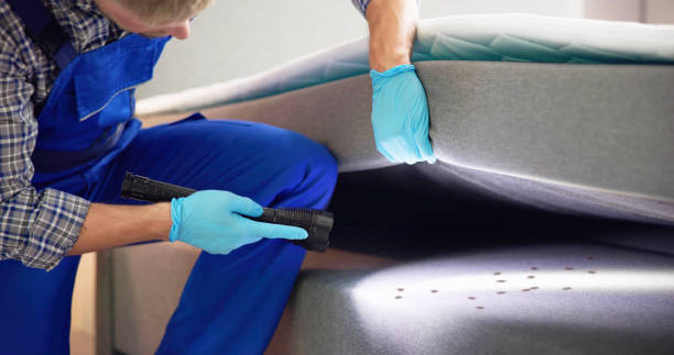 Best Mosquito Control Services  in Andusia, AL