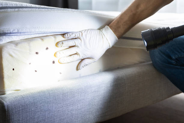 Best Affordable Pest Control Services  in Andusia, AL