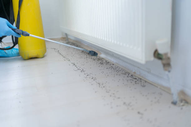 Best Best Pest Control Companies  in Andusia, AL